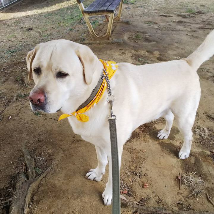 993e4406 b3f4 45ed 9185 e367244741bb 1581065940059