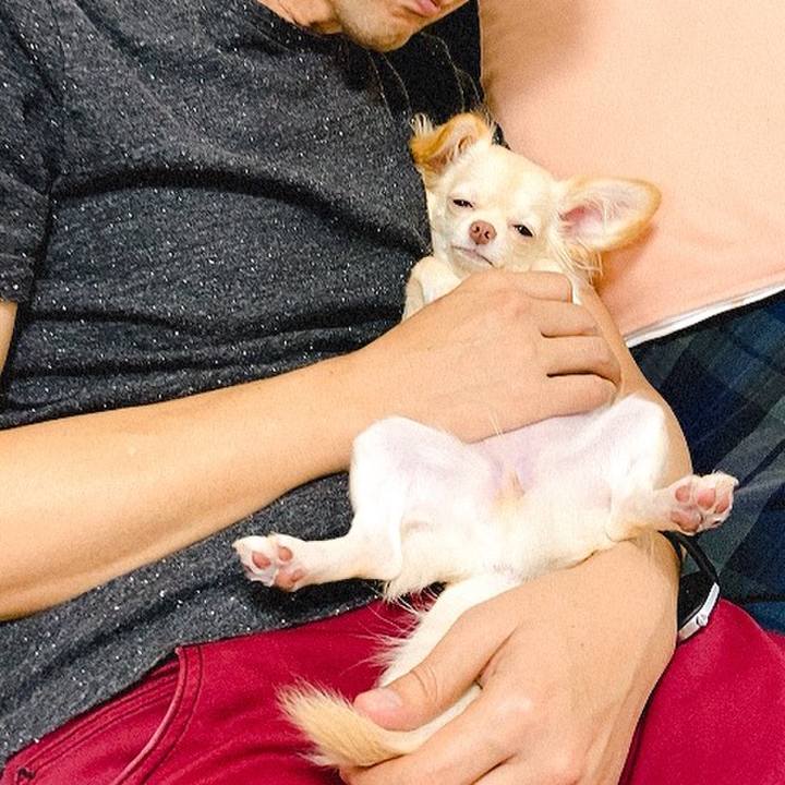 993e52ef ace0 4421 8e56 ceb4ef26dca0 1602989949241