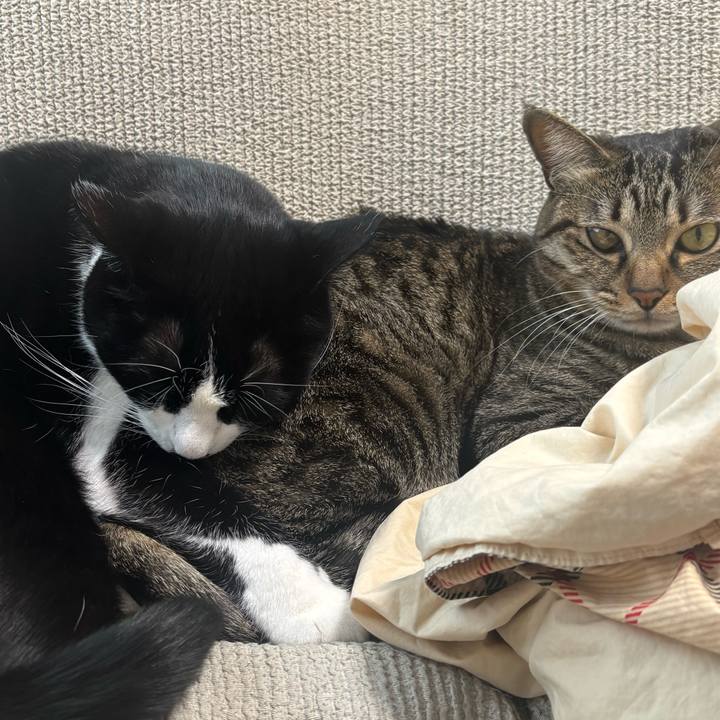 993e5b6c 2b22 4af0 8574 73787527c49e 1767495964944