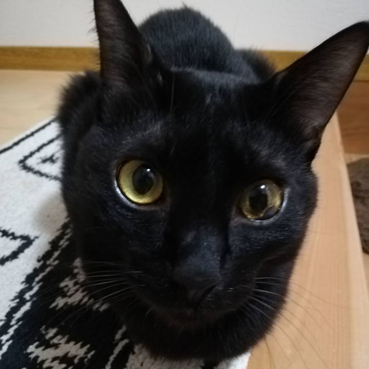 993e6651 1bab 40e6 9c26 94d0d01ac79e 1601591530026