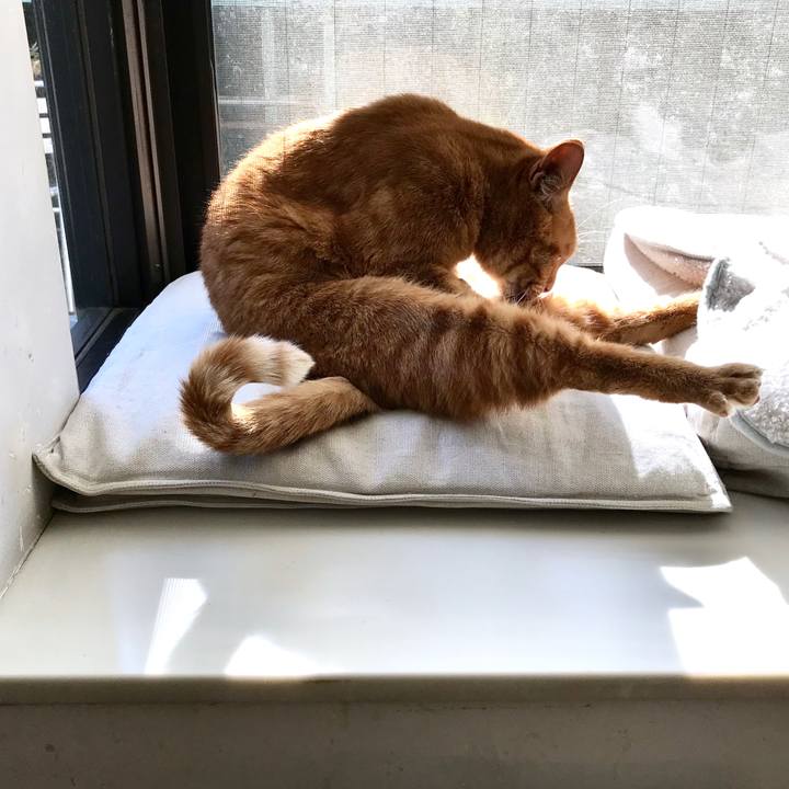 993e6dea ca96 4ab1 b7ee 2f089bfb763b 1515652873477