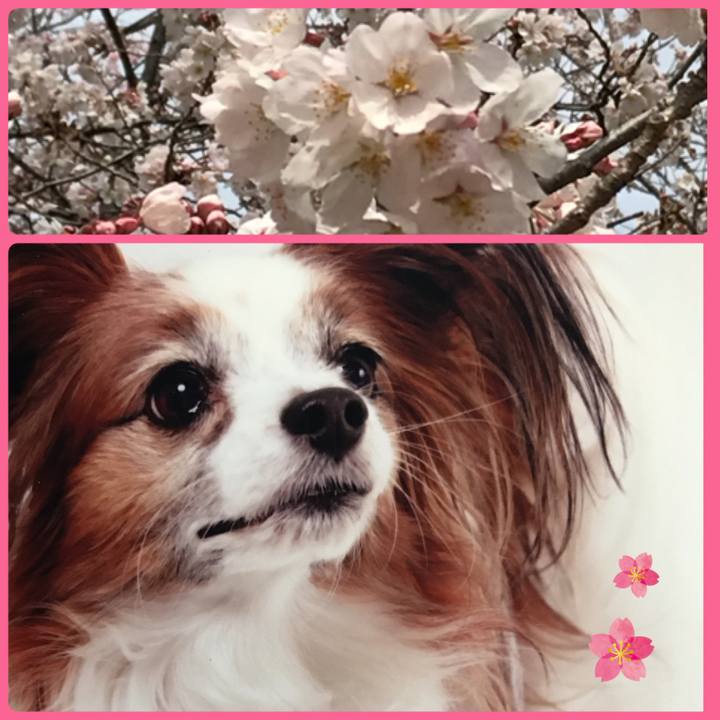 993e7014 c2db 4a6f 9d06 75c15345a6e3 1554857549956