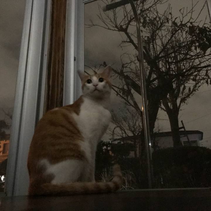 993e9972 7275 4900 bc1f 51f9da56734b 1510745865076