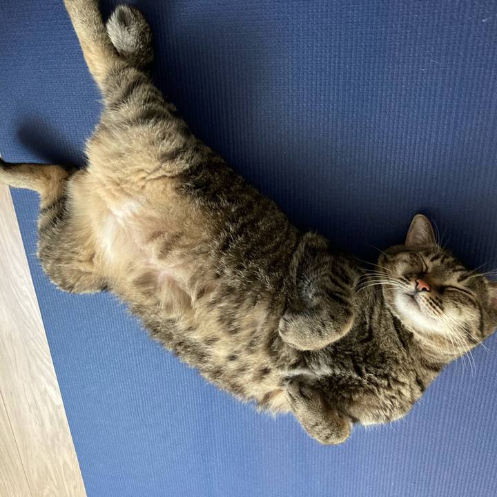 993eb821 c5fc 495b 88b5 d732bb97d5d6 1629615932537