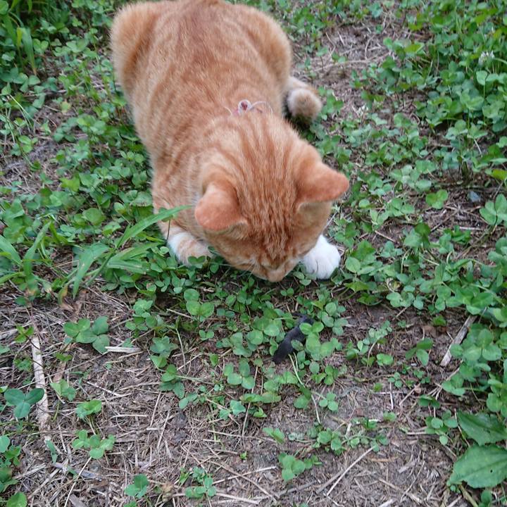 993f09f0 0bce 4464 94b7 392ef95ca421 1566896956195