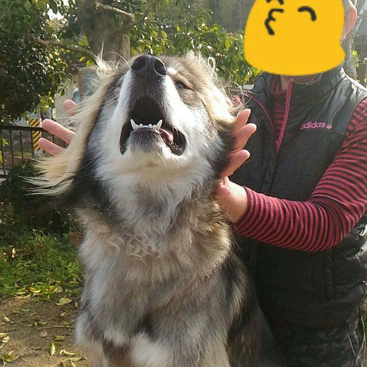 993f1fb4 a0e4 4c81 9f70 946b6fcb4de3 1549726960451