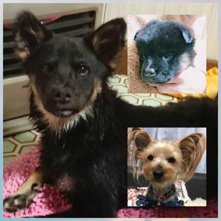 993f7f06 6dc3 48f1 a5b9 6652acfe19c0 1526990933884