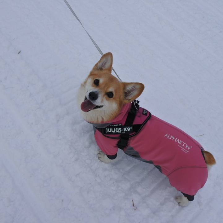 993f930e 6477 405c b528 9d1962ed5a60 1763554085356