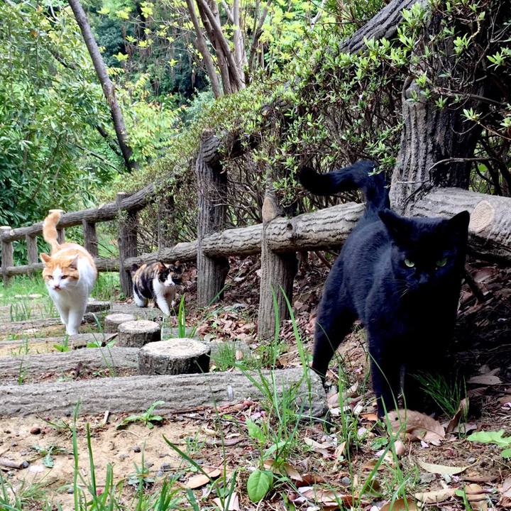 993f9f0e f93d 4fd3 be20 a58da7ced646 1523849966410