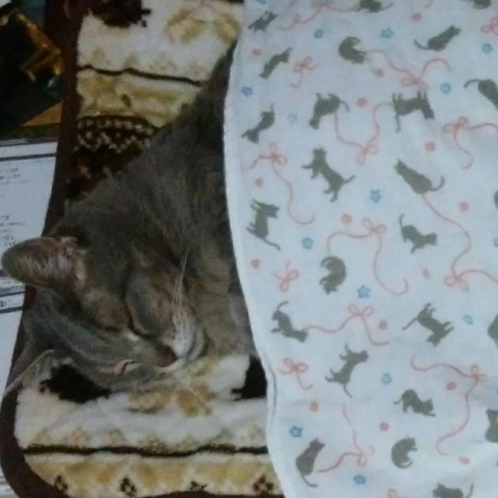 993fa1ca 17a9 4369 a382 3ac0ebc855d0 1586954774835