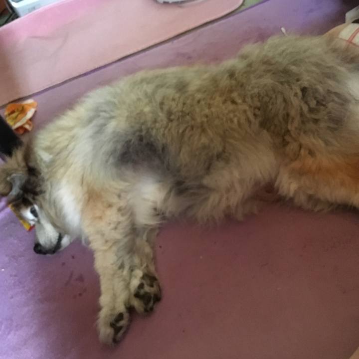 993ff7f1 b86f 49de 9188 0ed260976402 1618976685383