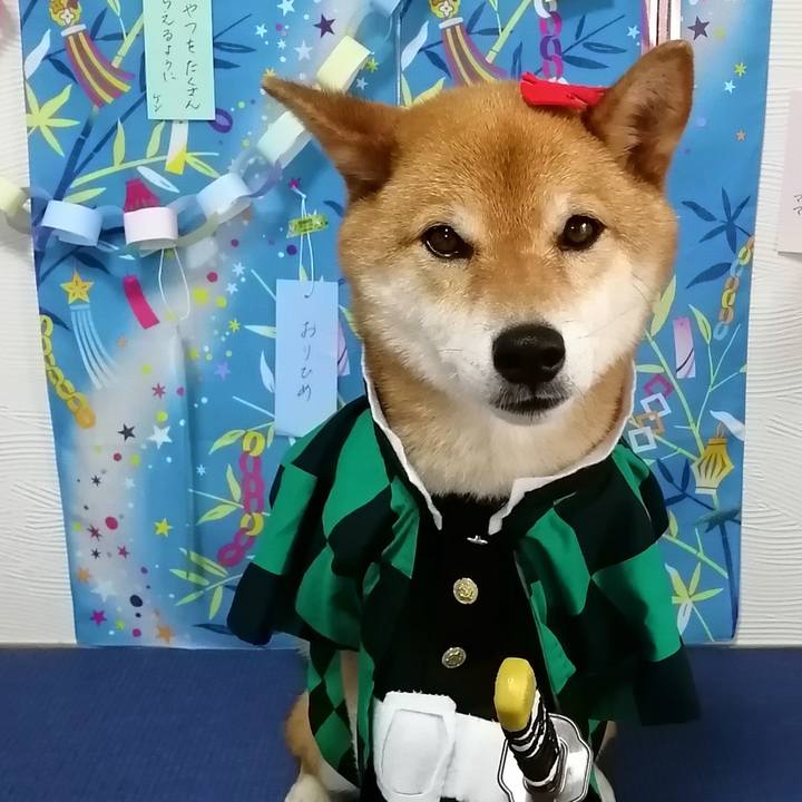 994020e6 b6b2 4372 b731 718070e04e48 1594015235756