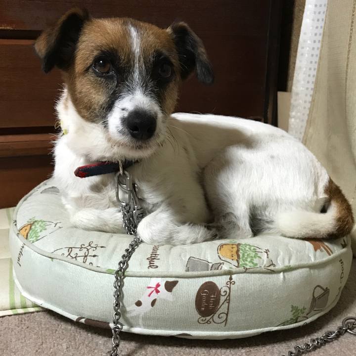 99406082 9bee 4b75 8e5d 97ff14f394b1 1507802789036