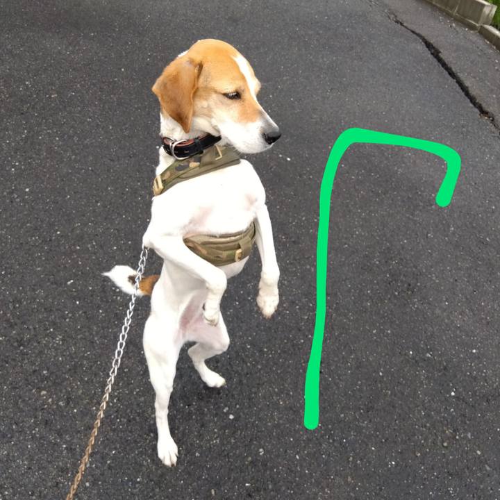 9940849c b216 4cfc 9c1d 4aebb8fb824b 1686484786715