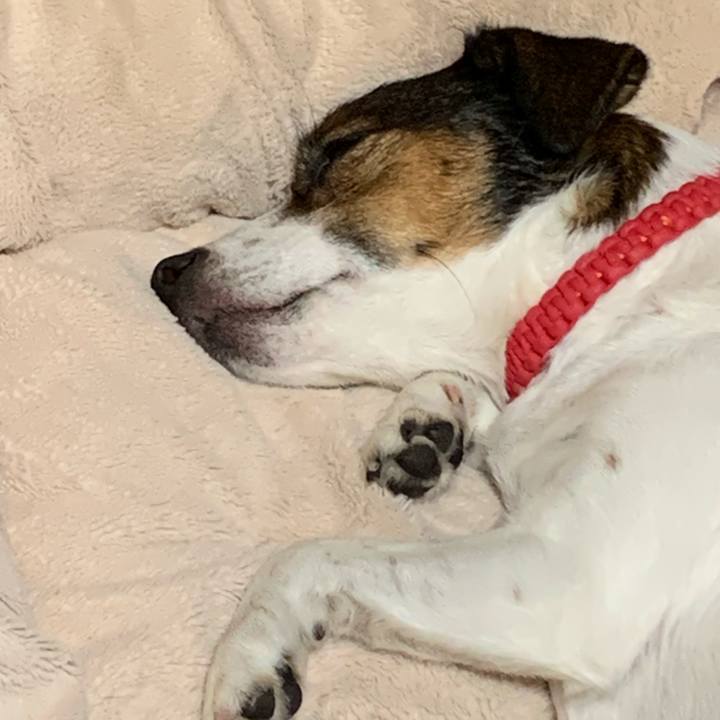 9940a7f9 3b1f 403c b1ea 65d4d1d13d9b 1605953488824