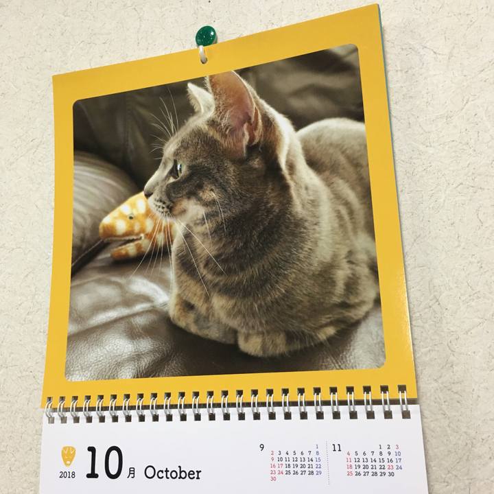 9940b1f8 f06d 4bcb 8370 0f63859252de 1538396838944