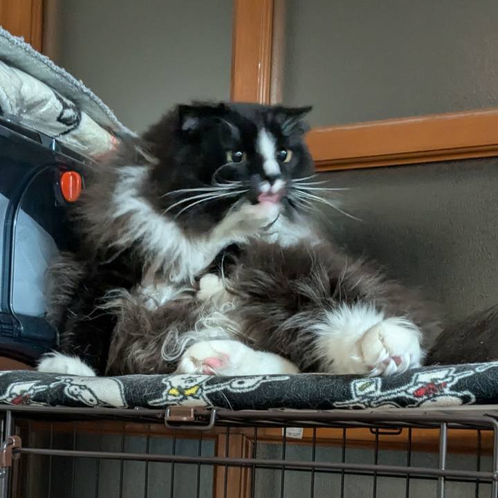 9940ca1b 6bc2 4cbd bc2f 5ef80523e264 1735596373188