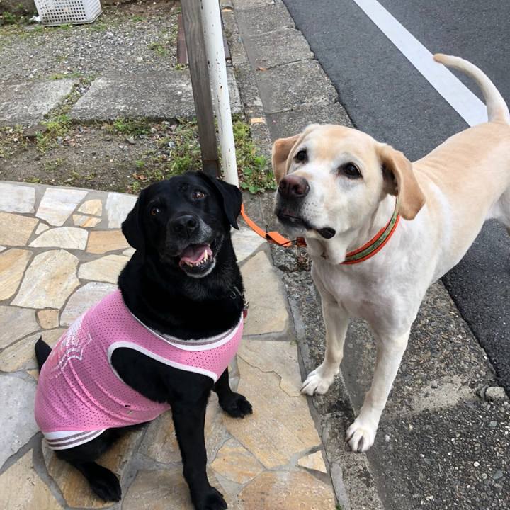 9940f8a2 809f 4b53 b110 2873a65a4225 1526135920782