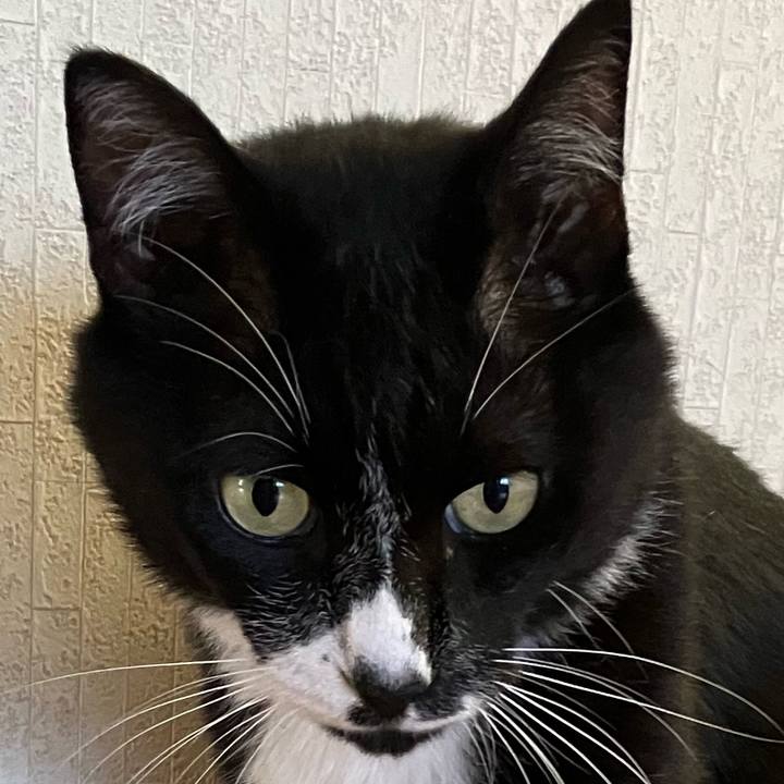 99410124 b6f4 4a53 91cc 415c9db6600b 1724473001488