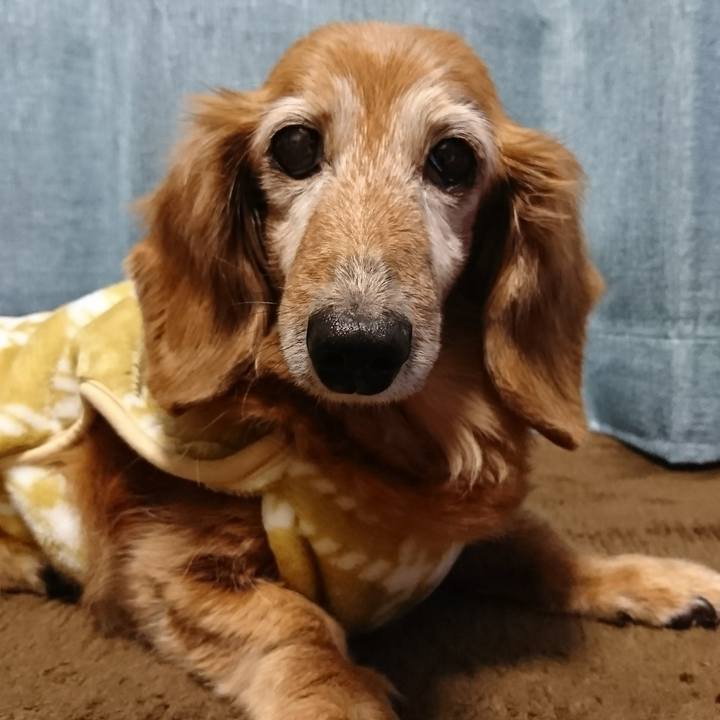 99412a0b 6835 4c7a 90dd de32dab3bc50 1514261382834