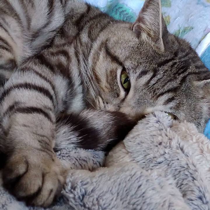 9941322c ce1b 40d8 9a88 bc0d823c5cd4 1640995782309