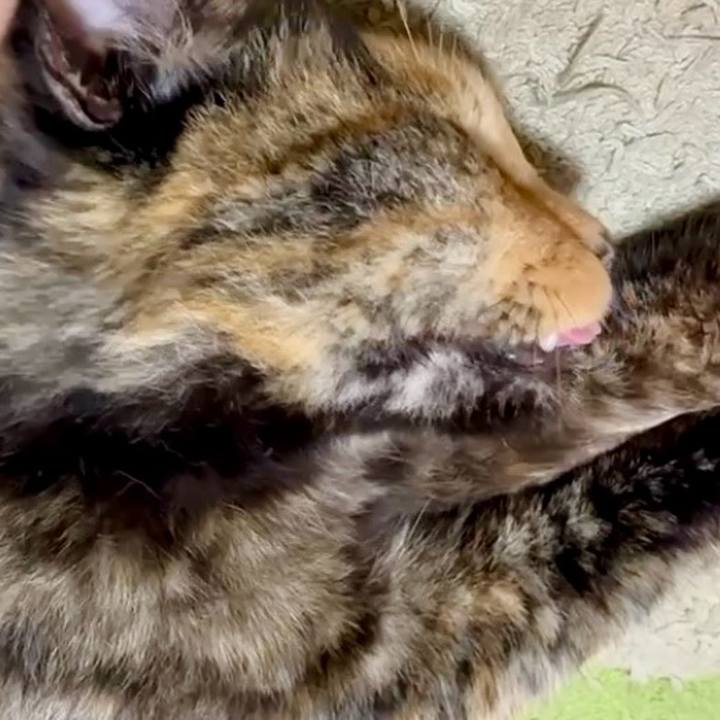 99413611 b171 41b0 bd37 316d0b1f09c9 1751968499146