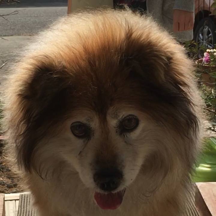 9941368b 9ac1 4495 908d 2c116130e3bc 1599299283441