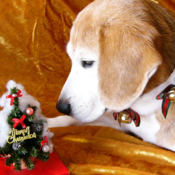 994148a9 0ead 44e1 b7c4 d5392e5bd9d4 1703378786436