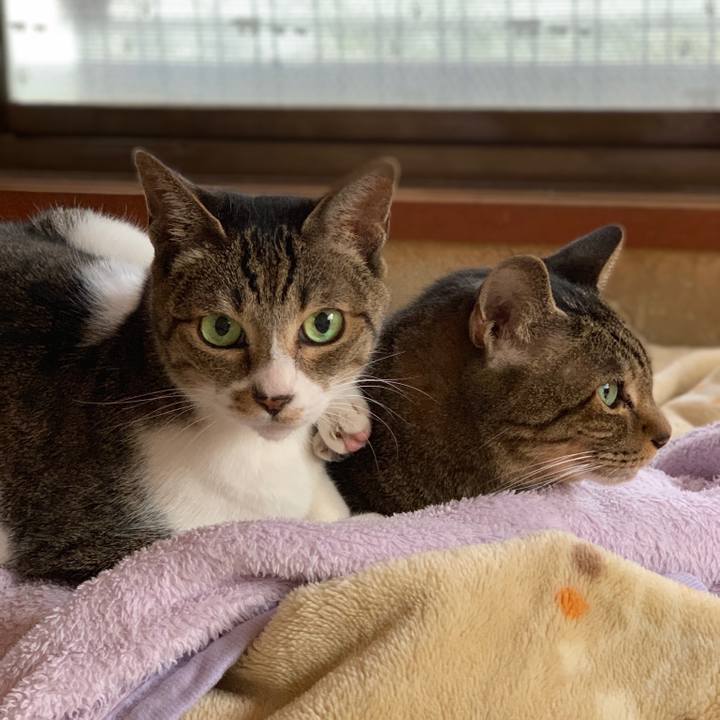 99415964 981d 45db b785 135d307585f6 1541379543862