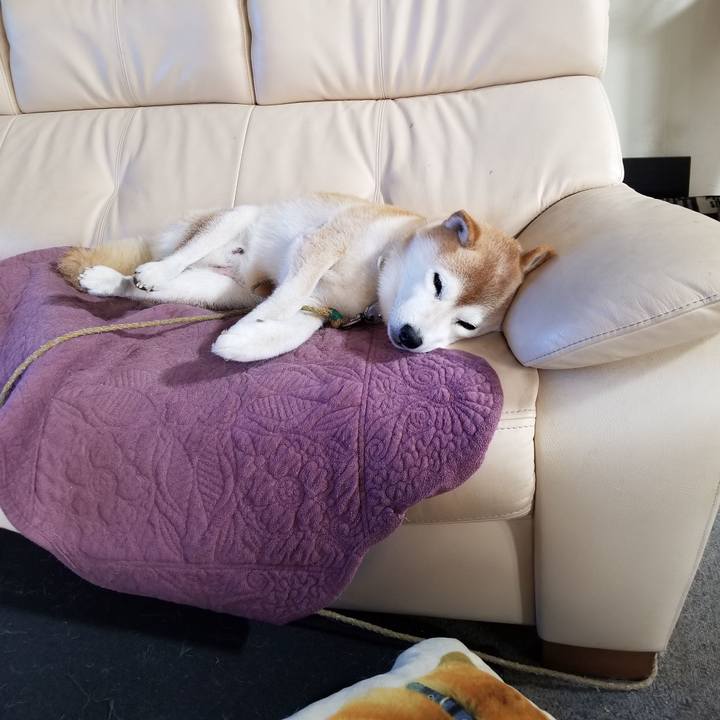 9941d9e7 a6d5 4dd7 a403 c8fd8006f10c 1697150726076