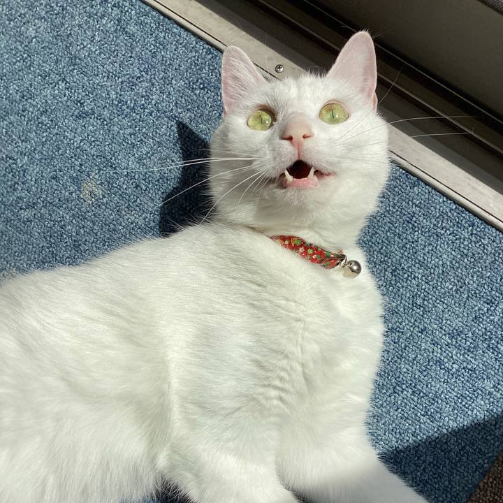 9941ea33 bff2 4ab9 85f7 fc7e4d37ae0c 1680493269234