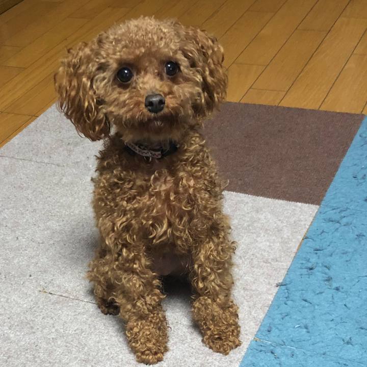 9941ffa4 d62a 4471 8418 7044557bbdbc 1524568206160