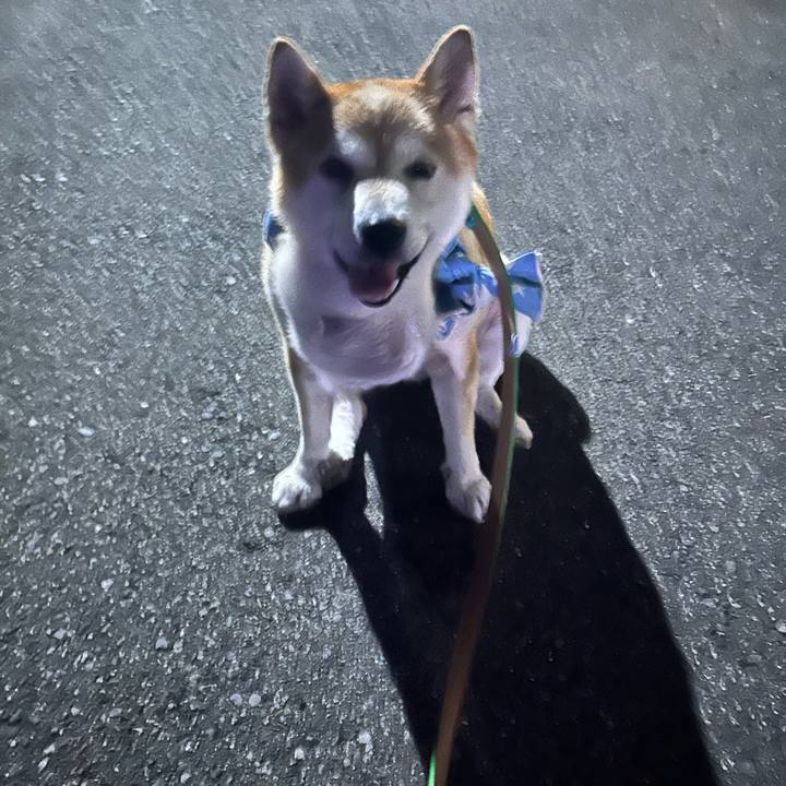 9942194a 57d4 4c88 af24 1f93a69bb681 1757412245074