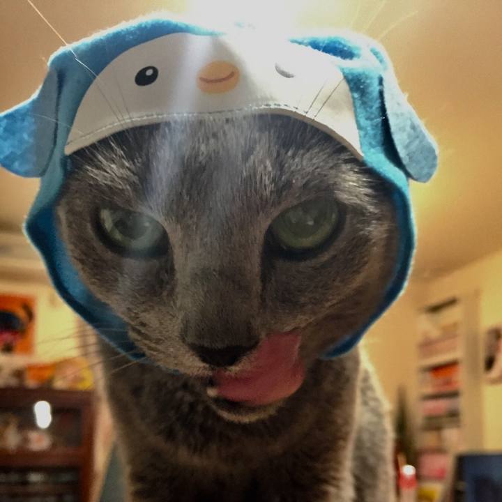 99427a2b b0c1 4769 8173 2eda7c062e12 1527551591218