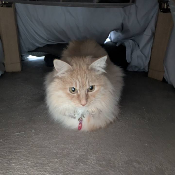 994280d7 13ec 4a95 acb8 aa58497656f9 1773541840283