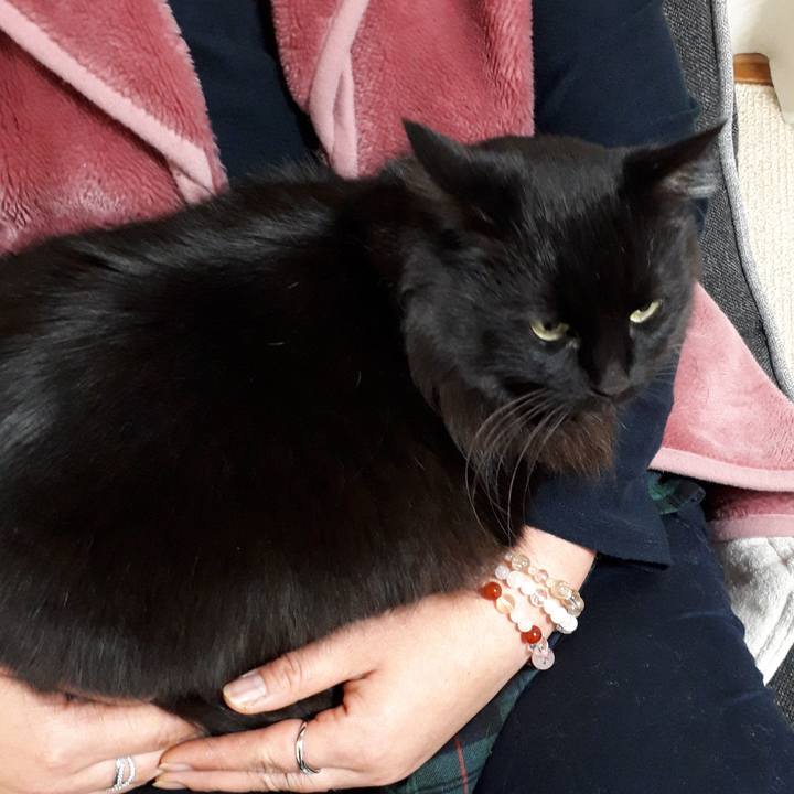 99428db9 c8cd 4408 8ca4 9e225df772b7 1518165846812