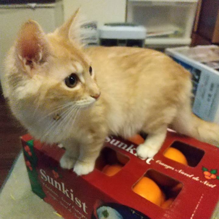 9942bd4d 3fa7 4893 9407 59c39b33f7b8 1608243901654