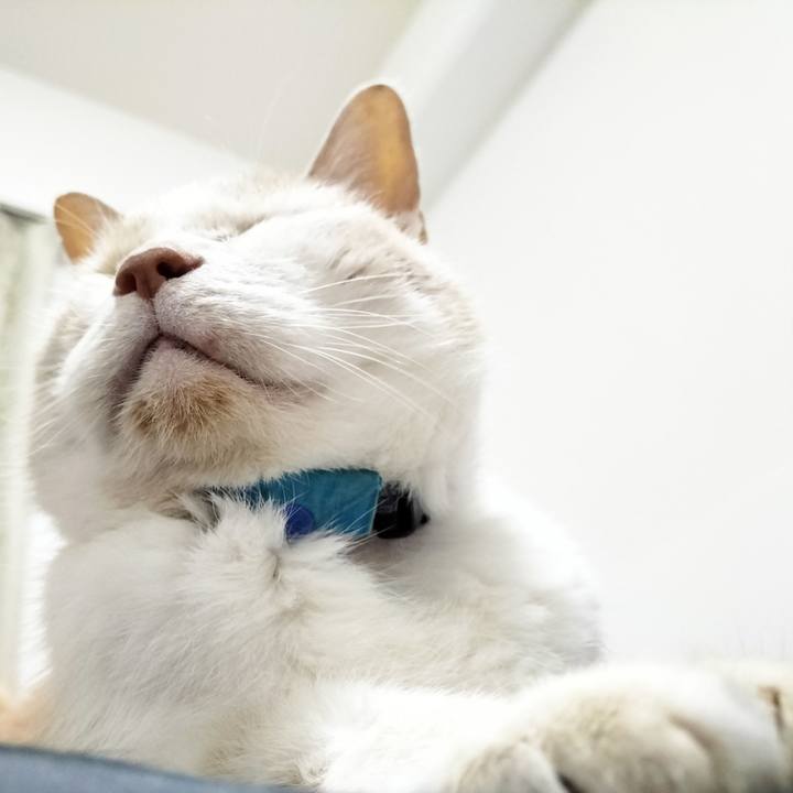 9942c2b4 98e1 4e77 9e02 5d8b48aa38c9 1682429106272