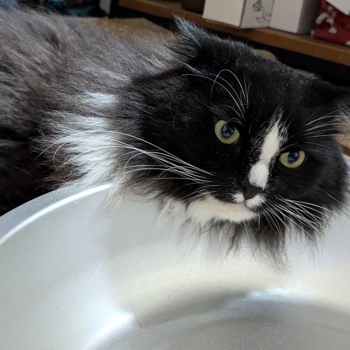 994334e0 3062 4125 a22c 6b6415dc9279 1721336161591