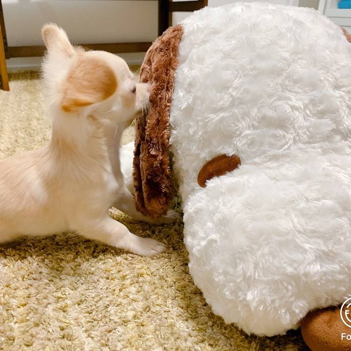 9943499a 1636 4384 8cdf 6fe85d24b84a 1595476520202