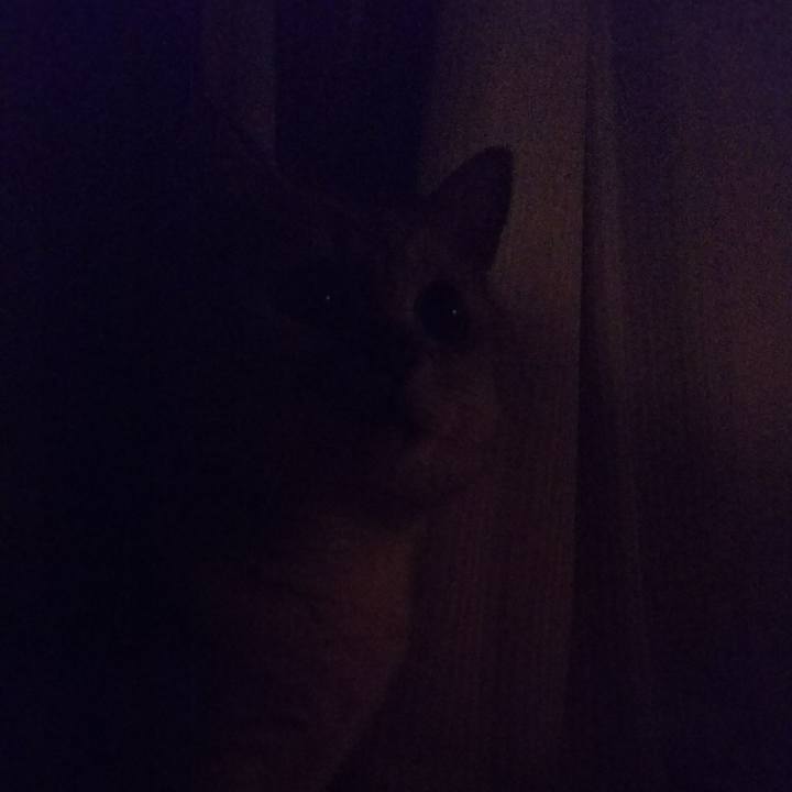 9943989e e1b3 4b01 b807 42646dd2a812 1538269082270