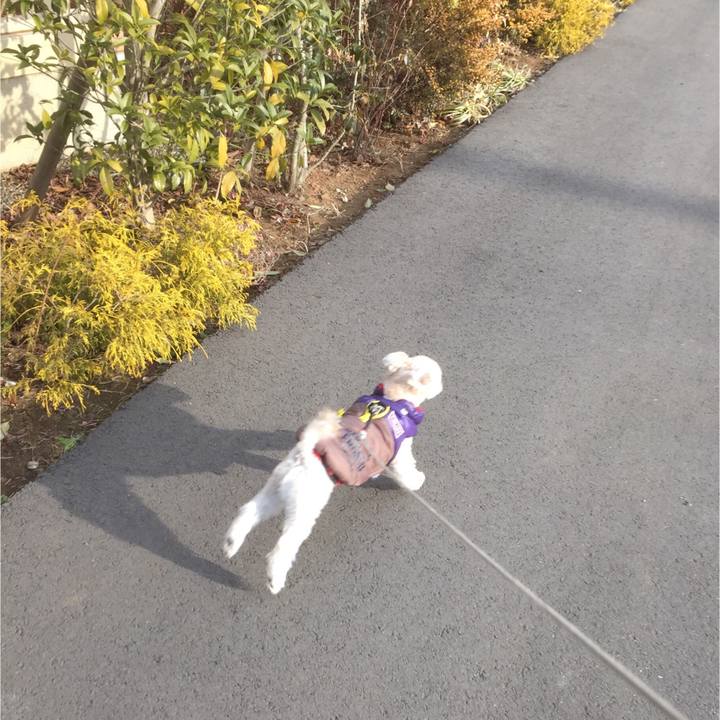 9943b739 d0a7 4710 94d5 b08009a784f1 1516190920517