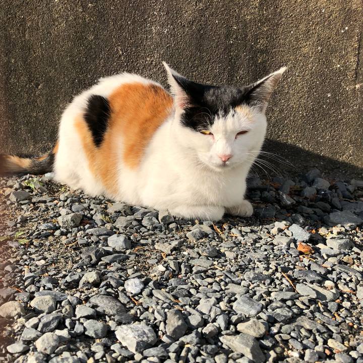 9943be20 96ea 4d69 8200 70cca31833a3 1602977391183