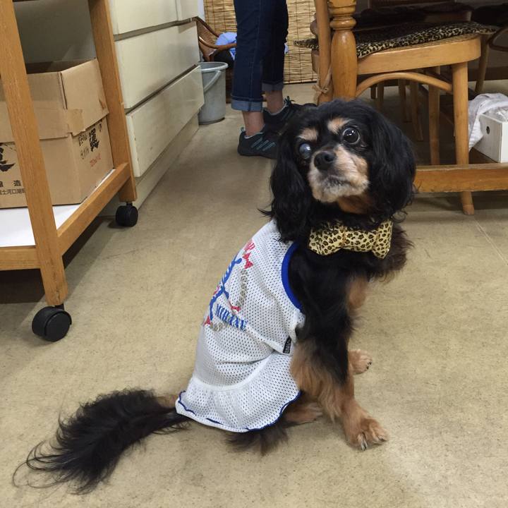 9943e44c 81c9 4e86 82d0 61fc08da8d79 1533368470958