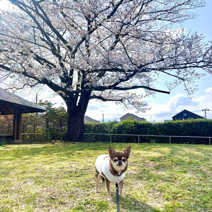 9943f139 8af7 49b8 a6b1 85df2f1b2ae3 1743317290520