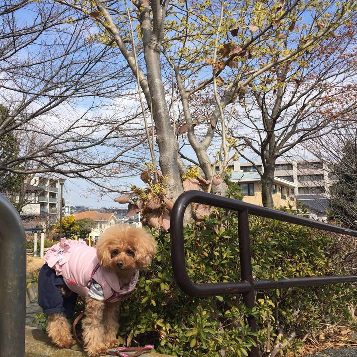 994418df fd3a 4df3 8109 4599e6520a77 1519363141648