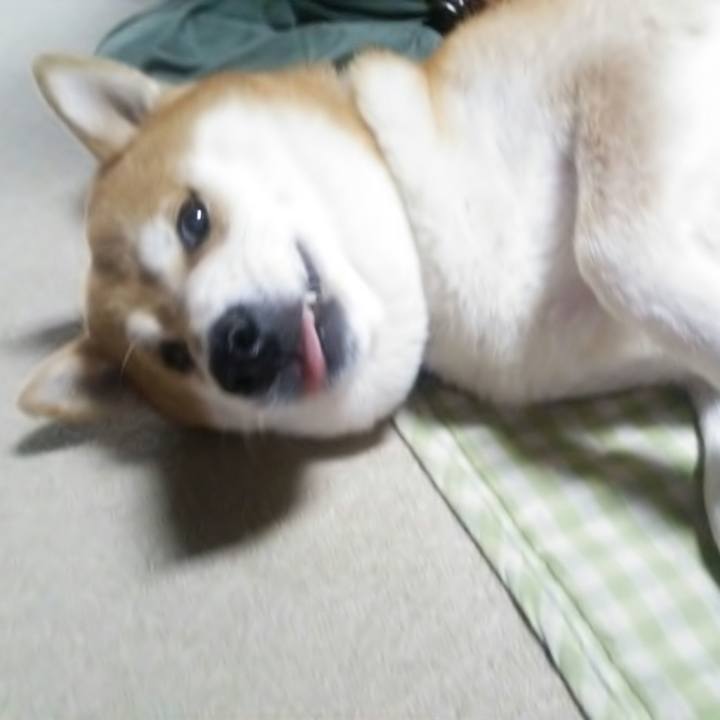 99441bcd 9a58 4089 8560 f20191b60544 1570435482720