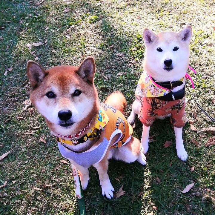 99442d6e 734a 4ba8 88dd 35a82d4478c6 1636808587565