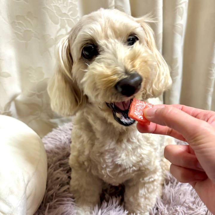 99444767 2256 41ee 8b2c f059fffc5250 1776739956017