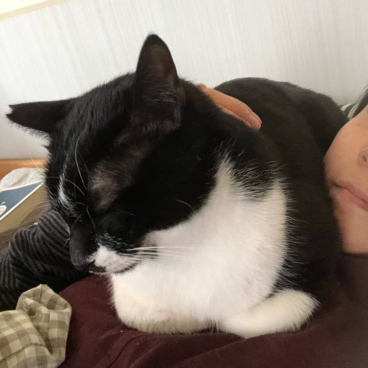 99449186 4f6c 400e ad34 d09661a40e05 1616359271347